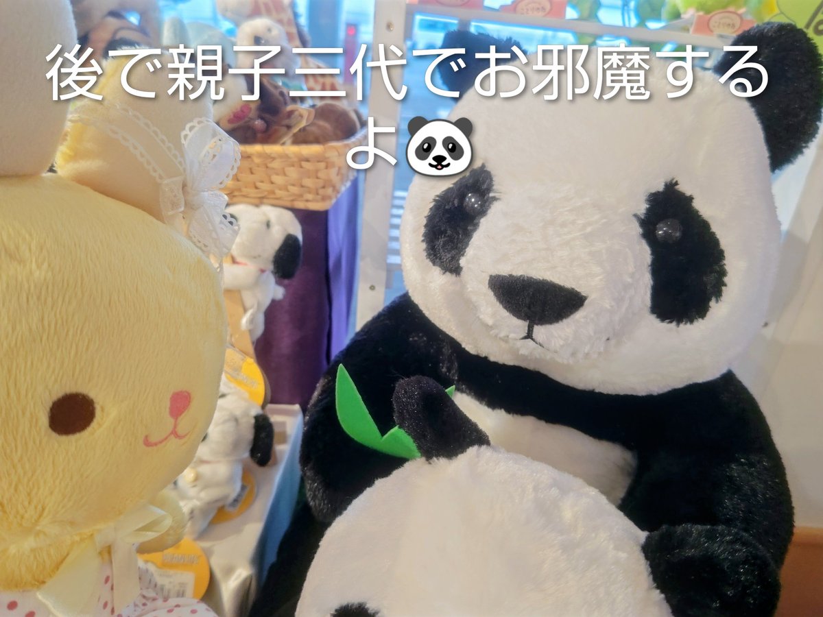 くまち (@kumachi1046s) / Posts / X