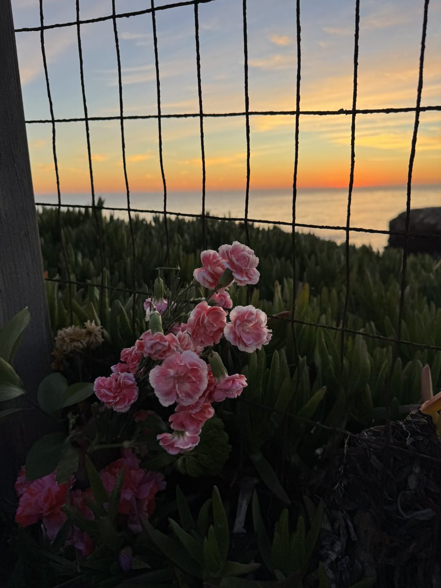 Bazinga🦋 tweet media