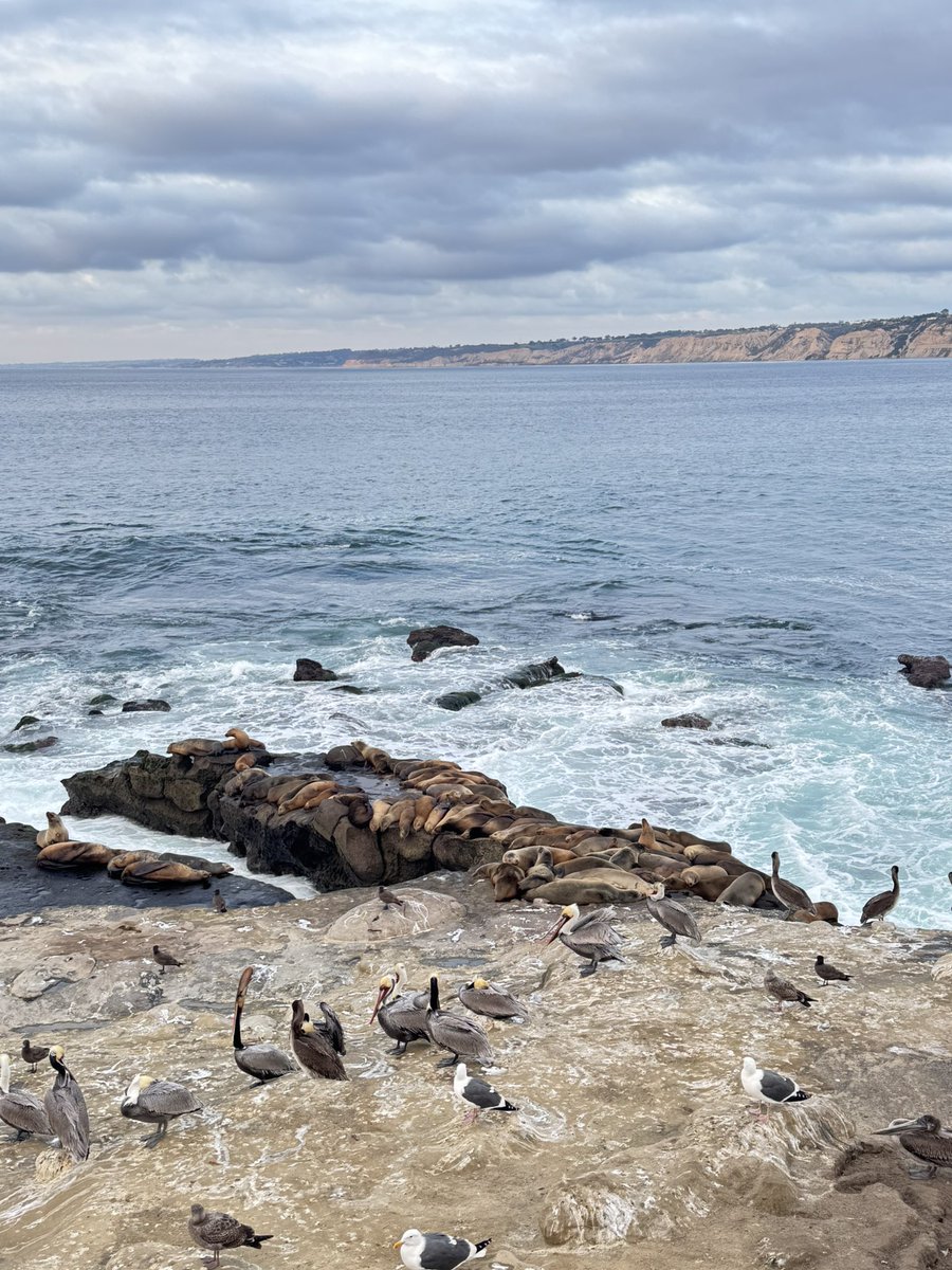 感受到了内心的平静