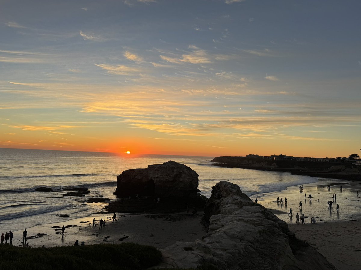 Bazinga🦋 tweet media