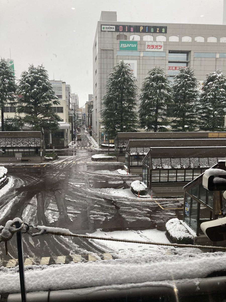 chokoroBit's tweet image. 雪だね