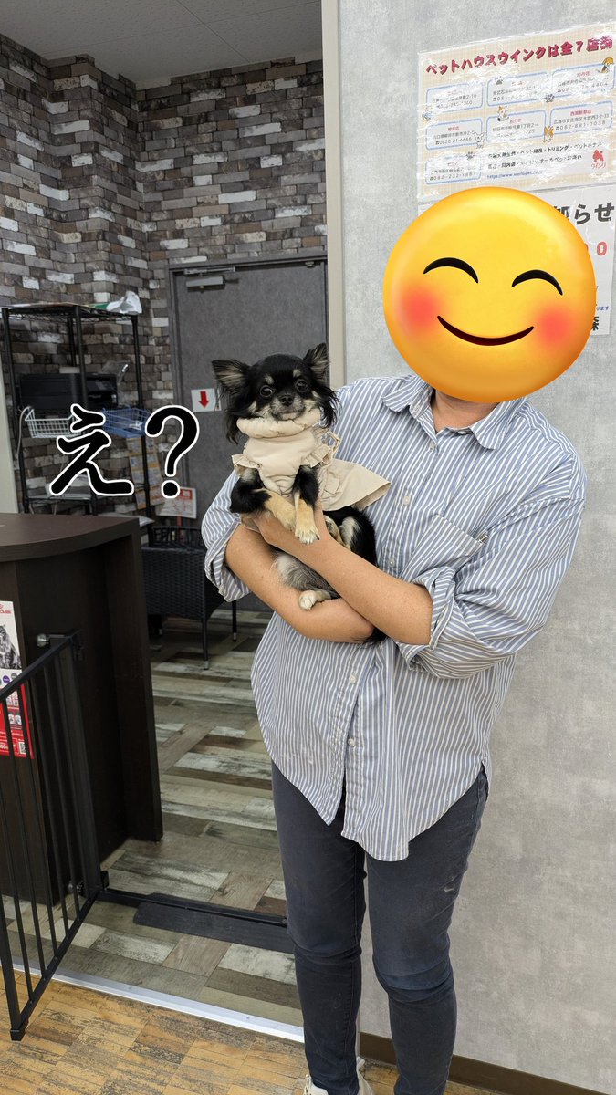 のりたま&鋼牙🌈18歳&鈴(りん) tweet media