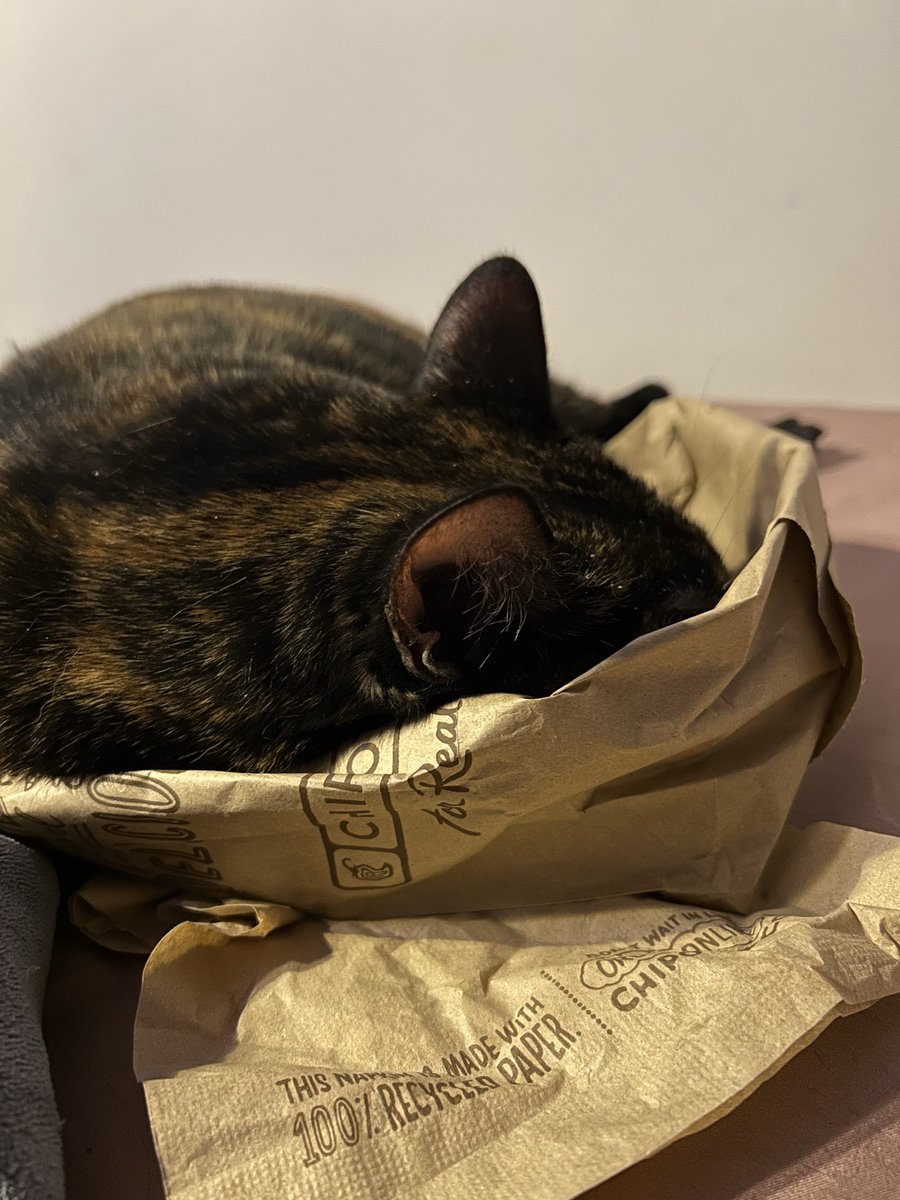 sodeppinlove's tweet photo. idk who’s more in a @ChipotleTweets coma, me or lucy https://t.co/FK46m2k02D