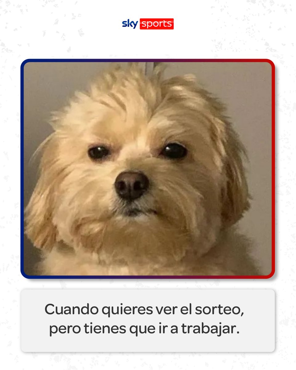 SKYSportsMX's tweet image. ¡Hoy es viernes de sorteo! 🤩

Te preparas un snack, te pones el jersey de la selección y sorpresa, tienes que ir a trabajar… además olvidaste el intercambio de tu trabajo. 🥹

#Sorteo #Godín #SkySports #izzi