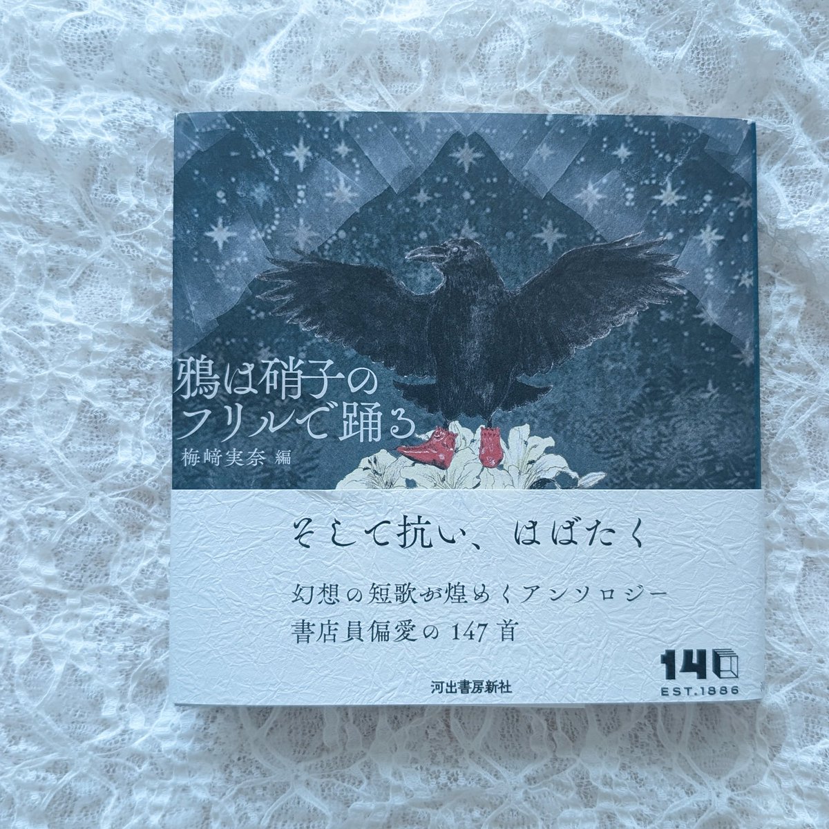 梅崎実奈『鴉は硝子のフリルで踊る』 好きな歌人さんの好きな短歌が