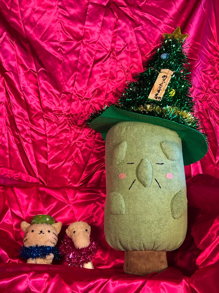 ツゲじい「#クリスマス の準備をはじめるのじゃ。針葉樹がマイブームじゃと？🌲バレたかの。ふぉっふぉっふぉ🎄」
#奈文研
#キュートぐみ