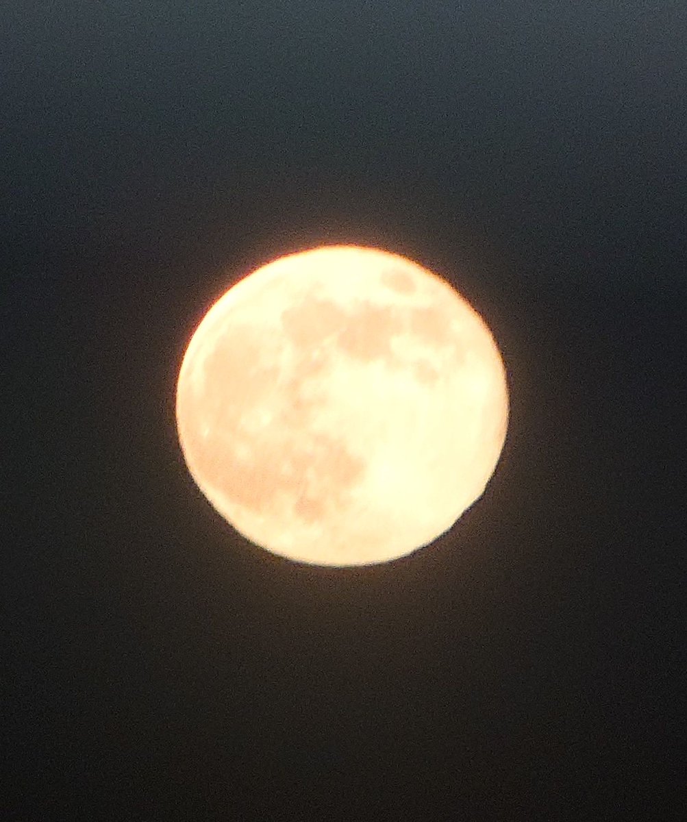 Tryangle_web's tweet image. 今日は2025年最後の満月ですね🌕

#猿島 #満月 #コールドムーン