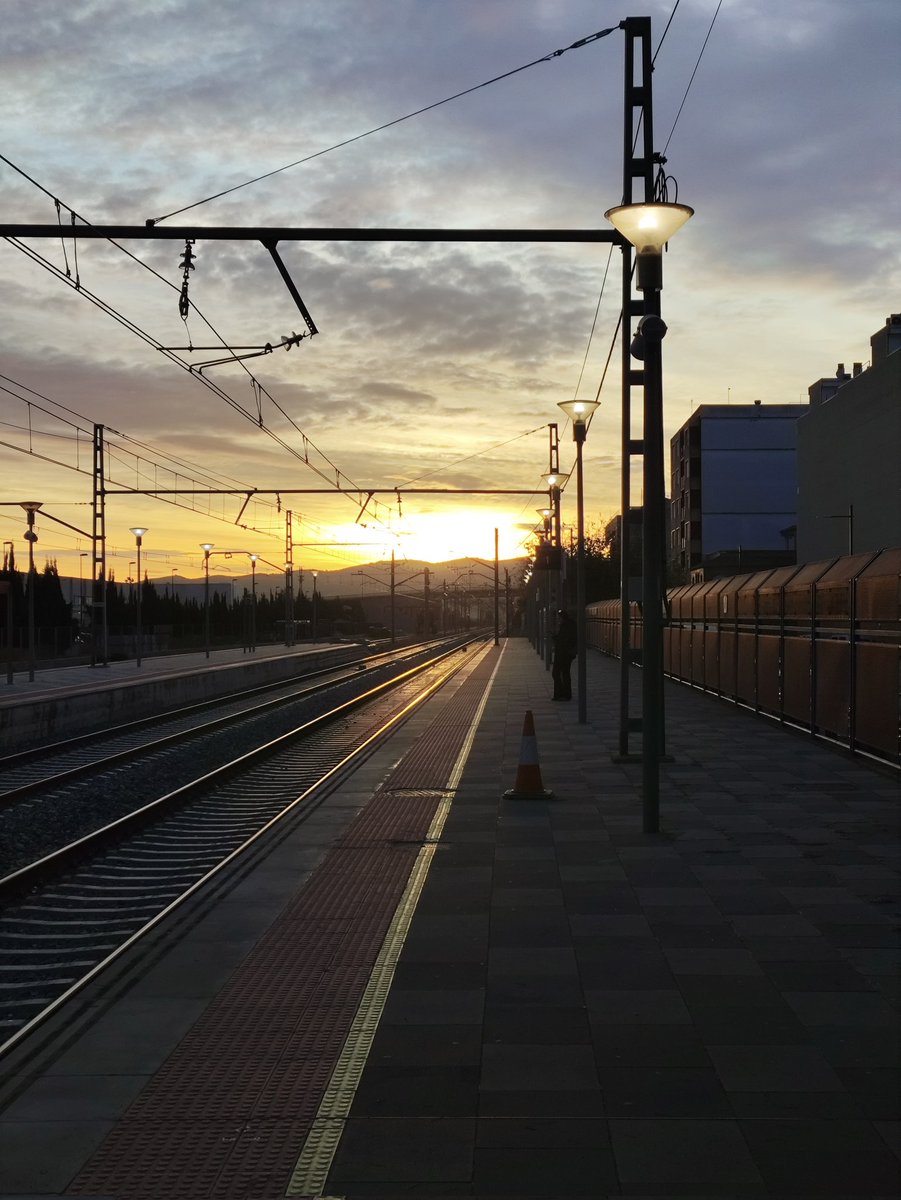 Sanguango 🍊 tweet media