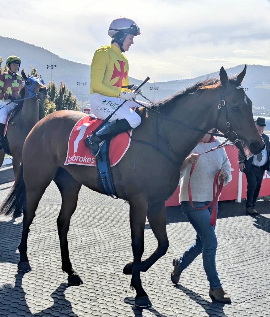 TrinderAdam's tweet image. A typically narrow win today for Magnaprime (4g Magnus x Fast Legend) who saluted in a 1400m BM68 in Hobart!

Congrats to connections on #Magnum's 4th win at start number 10. He was a $60k @mmsnippets buy in Tassie in 2023 and has earned over $184k. Thanks @Ericabyrne_1!
