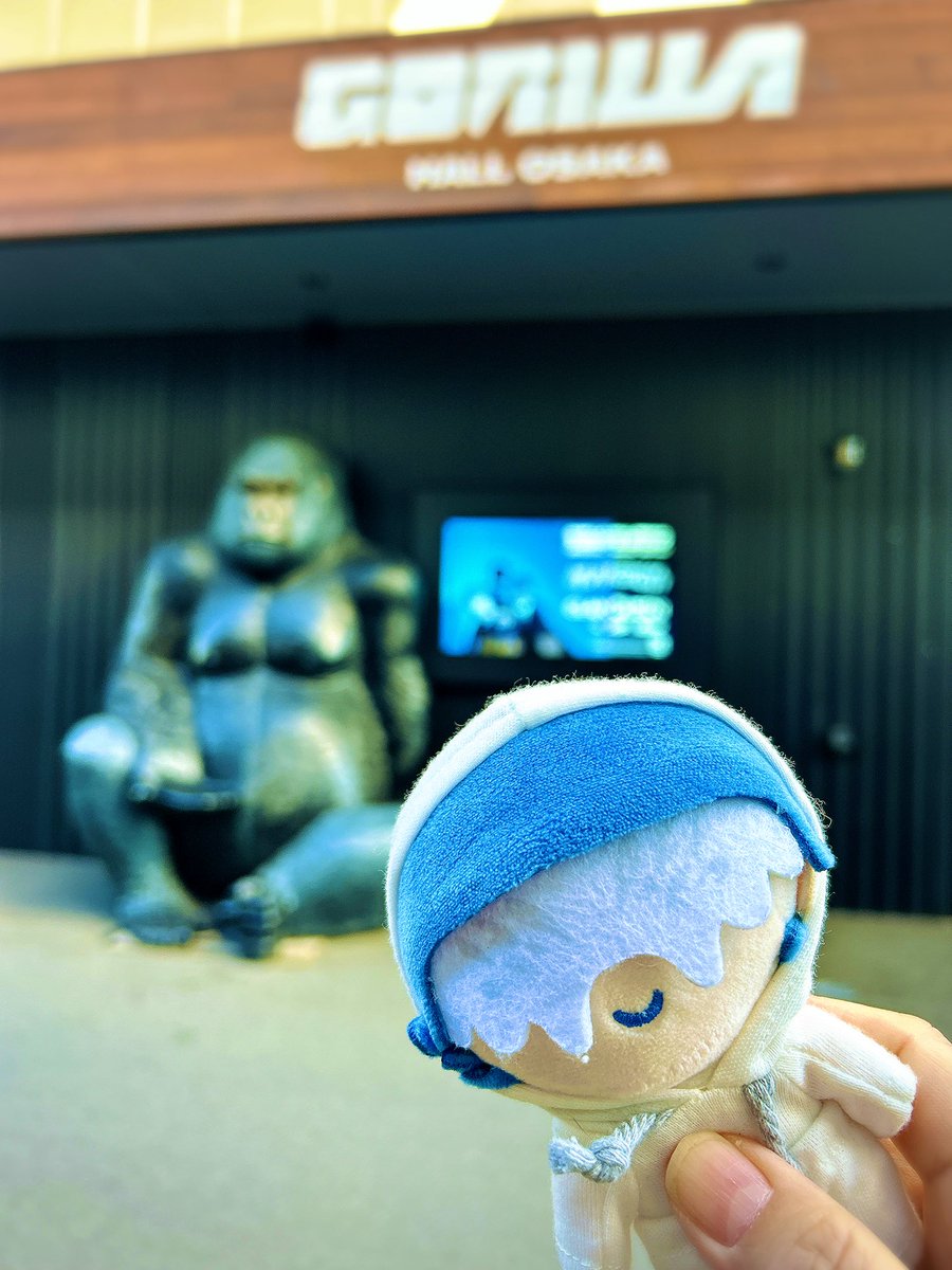 本日はこちら大阪のゴリラホールに 来ています☺️🦍✨ 久しぶりの対