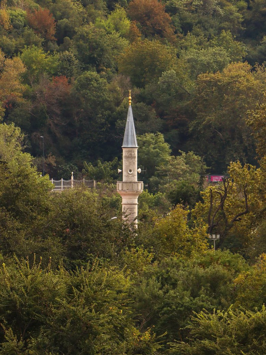 YARDIM İSTEMEM,
​teklif edeni unutmam.
​Destek beklenemem,
​arkamda duranı unutmam.
​Sevgi saygı istemem,
​göstereni unutmam.
Güçlü olmak, kimseye muhtaç kalmamayı öğrenmektir. #HayırlıCumalar 🤲