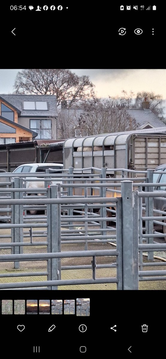 William Powell🔶🏴 tweet media