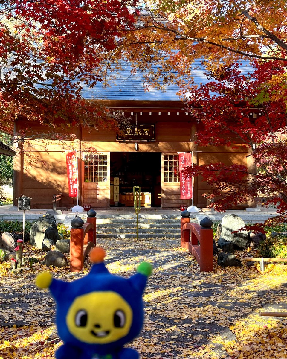 ウド様おねが～い!!【イッツコムの地域情報バラエティー