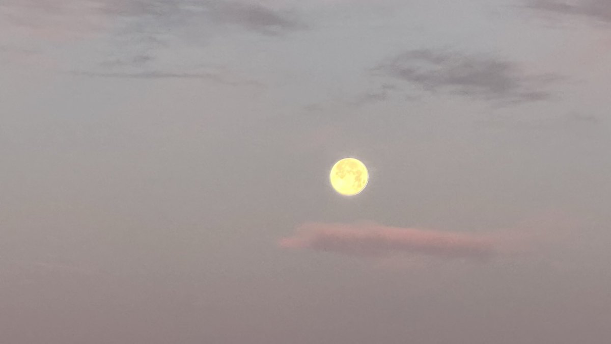 La lune de glace fait de la résistance ce matin à #Asnieres