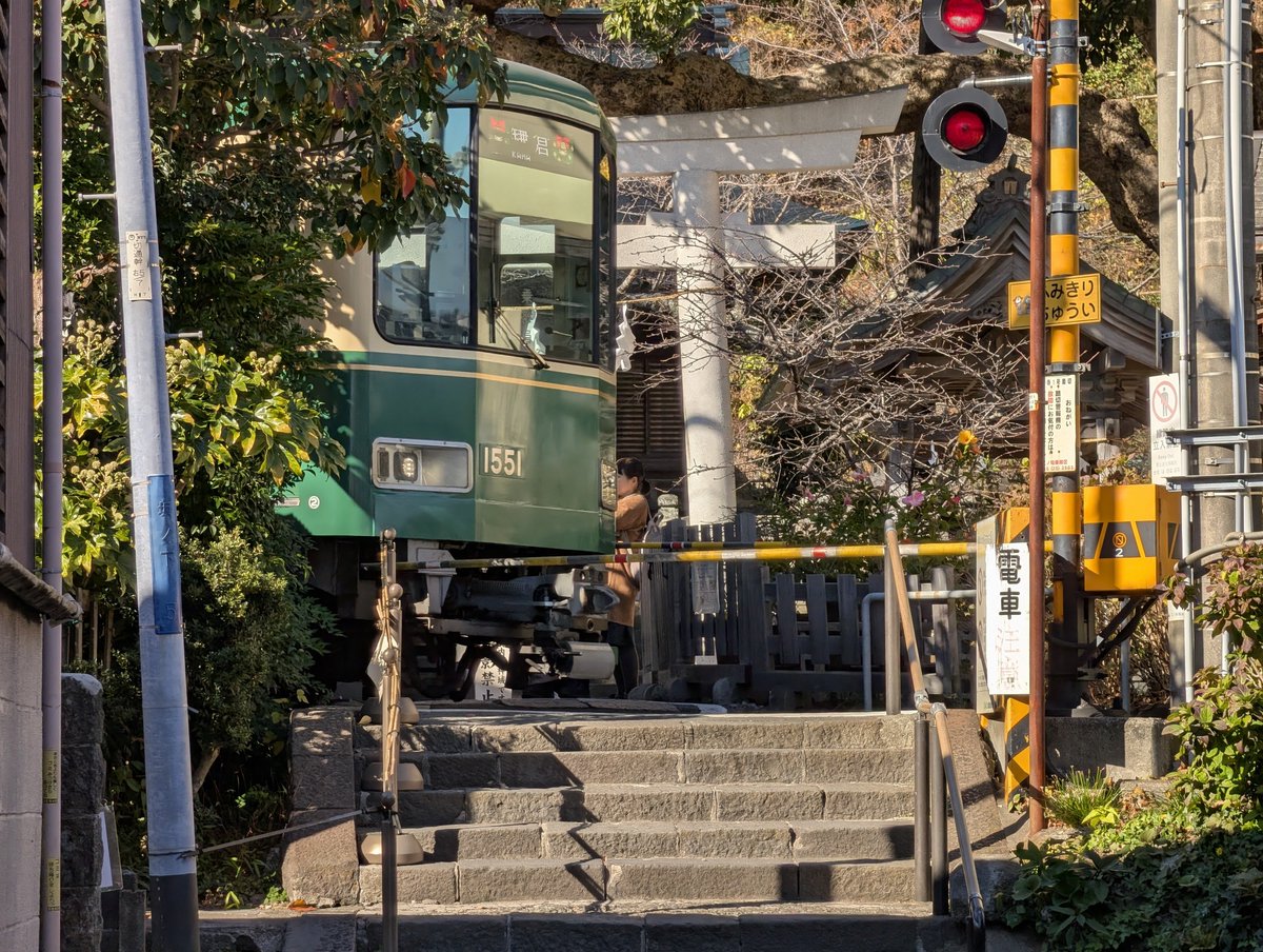 のりりん (@tiny_seed) / Posts / X