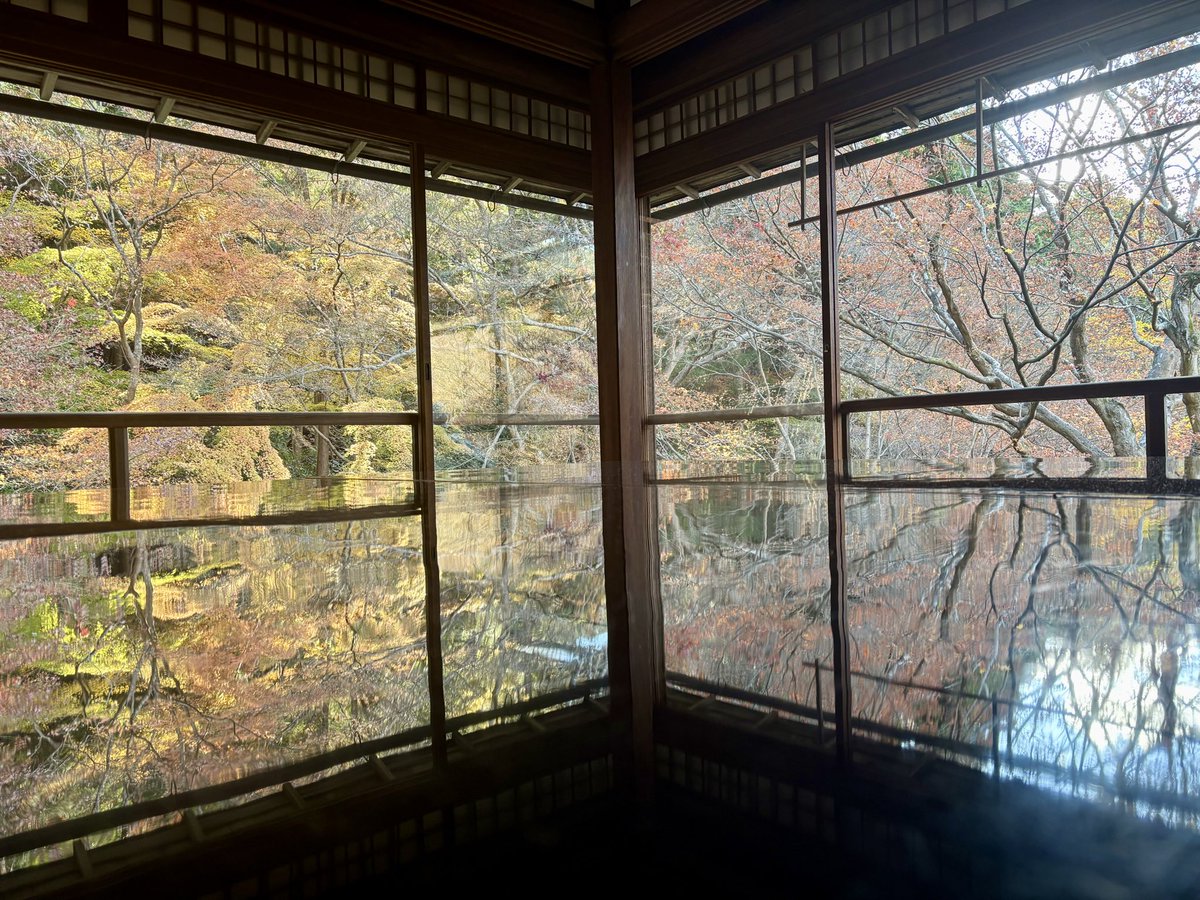 山葵 (@__________wsbsm) / Posts / X