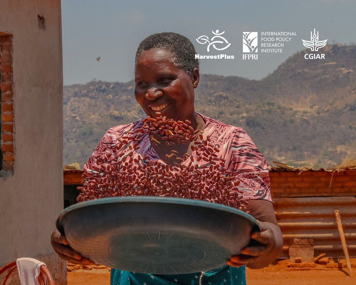 HarvestPlus Zimbabwe tweet media