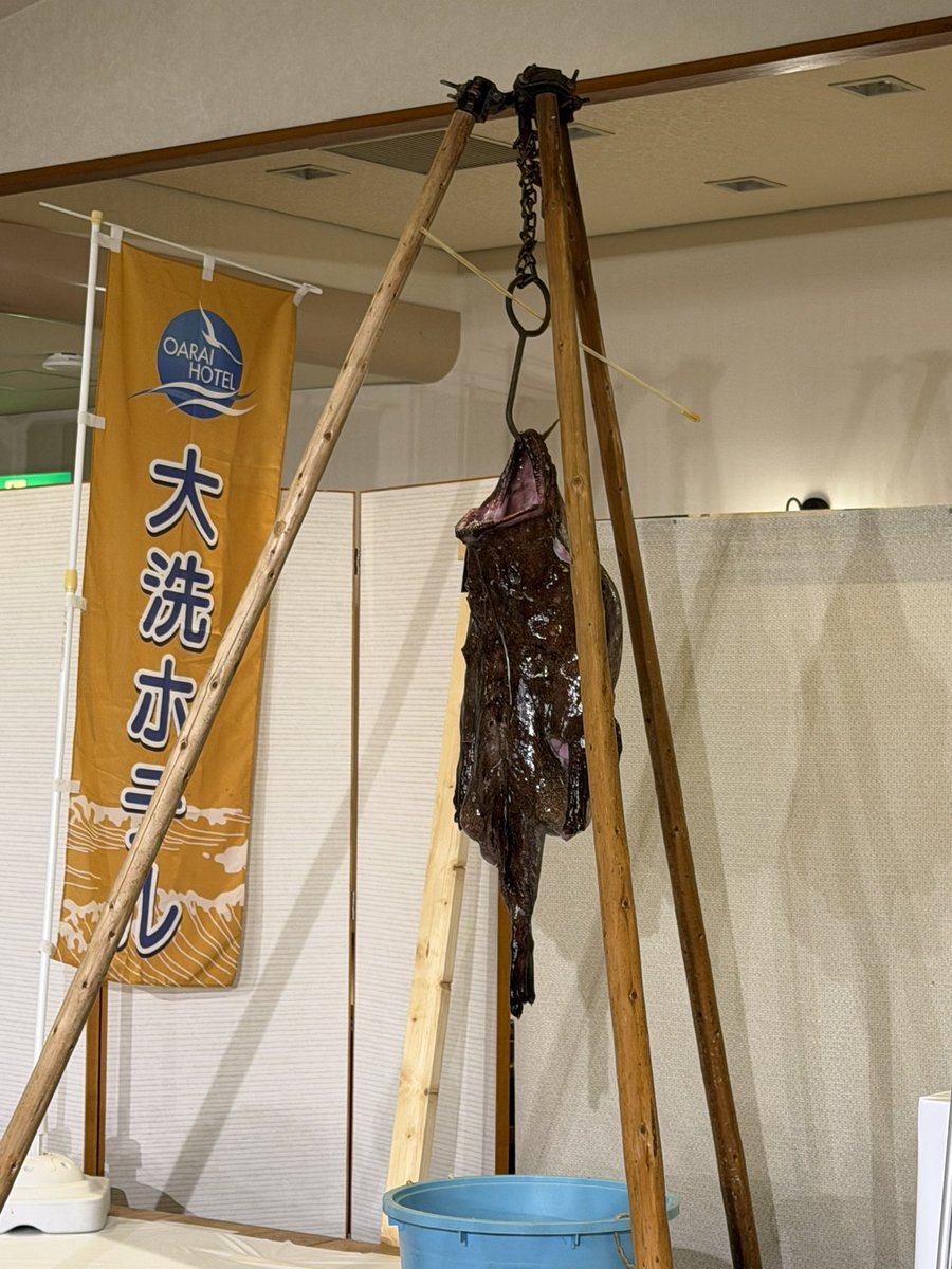 はやと (@hayato_3) / Posts / X