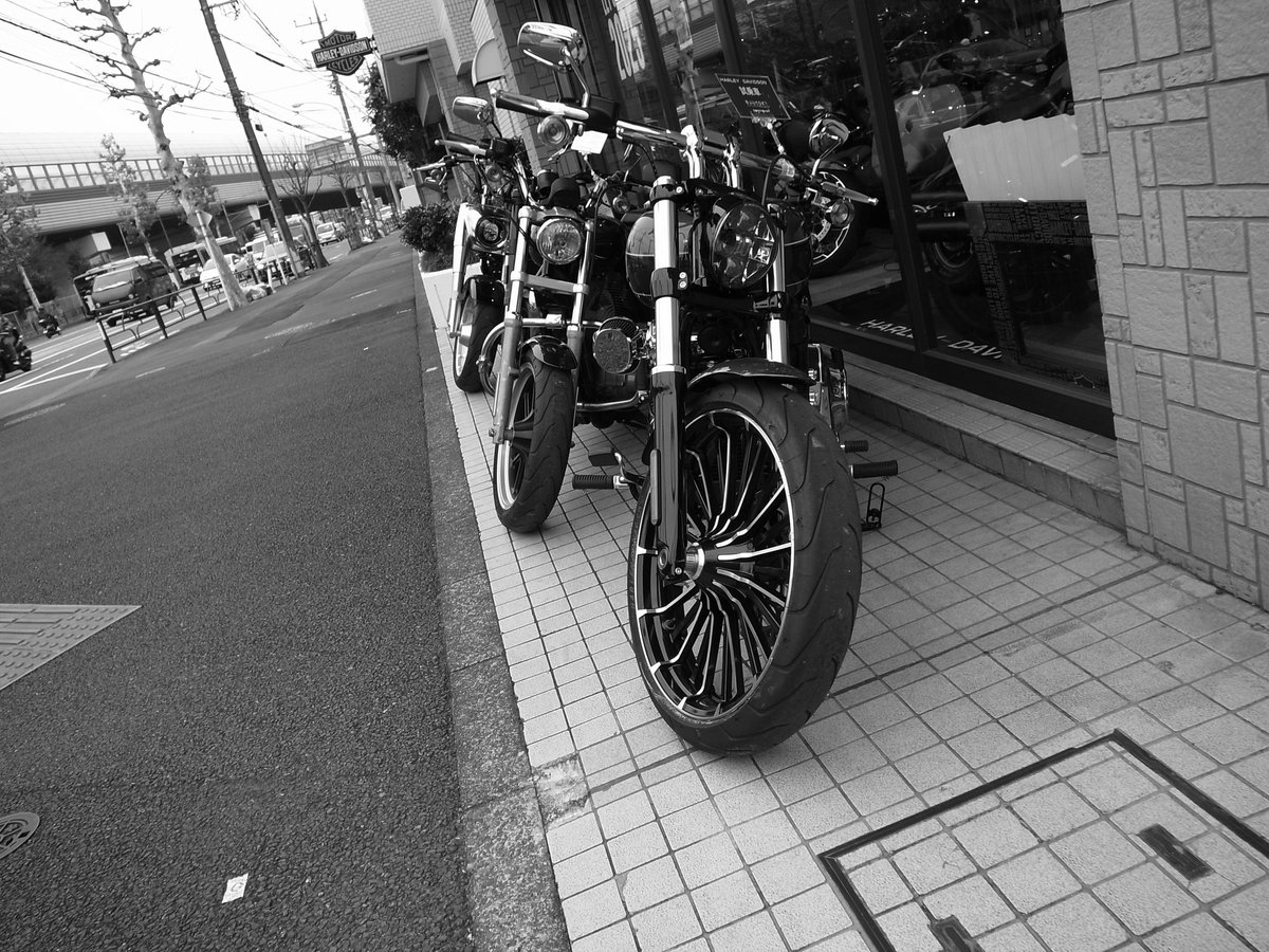 HueBrener's tweet photo. monochrome Haley
寒いね
#Richo
#GRDigital3
#grd3 https://t.co/WrCSEzOFuv