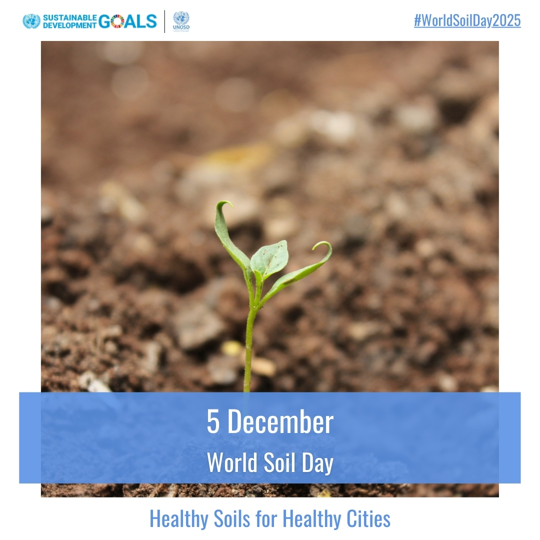 UN Office for Sustainable Development tweet media