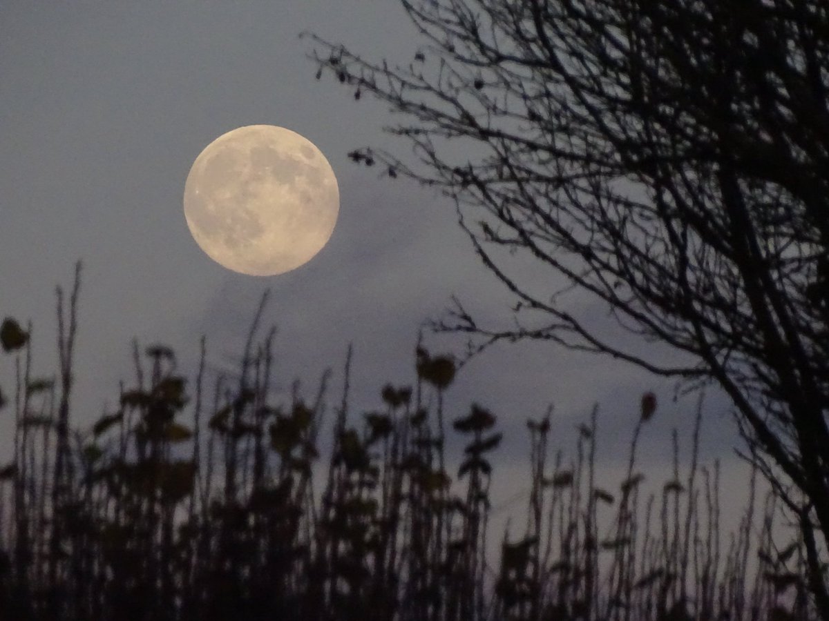 Mark in Dorset tweet media