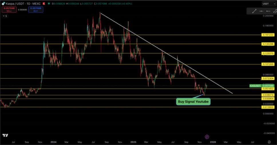 Allenation 𐤊 tweet media