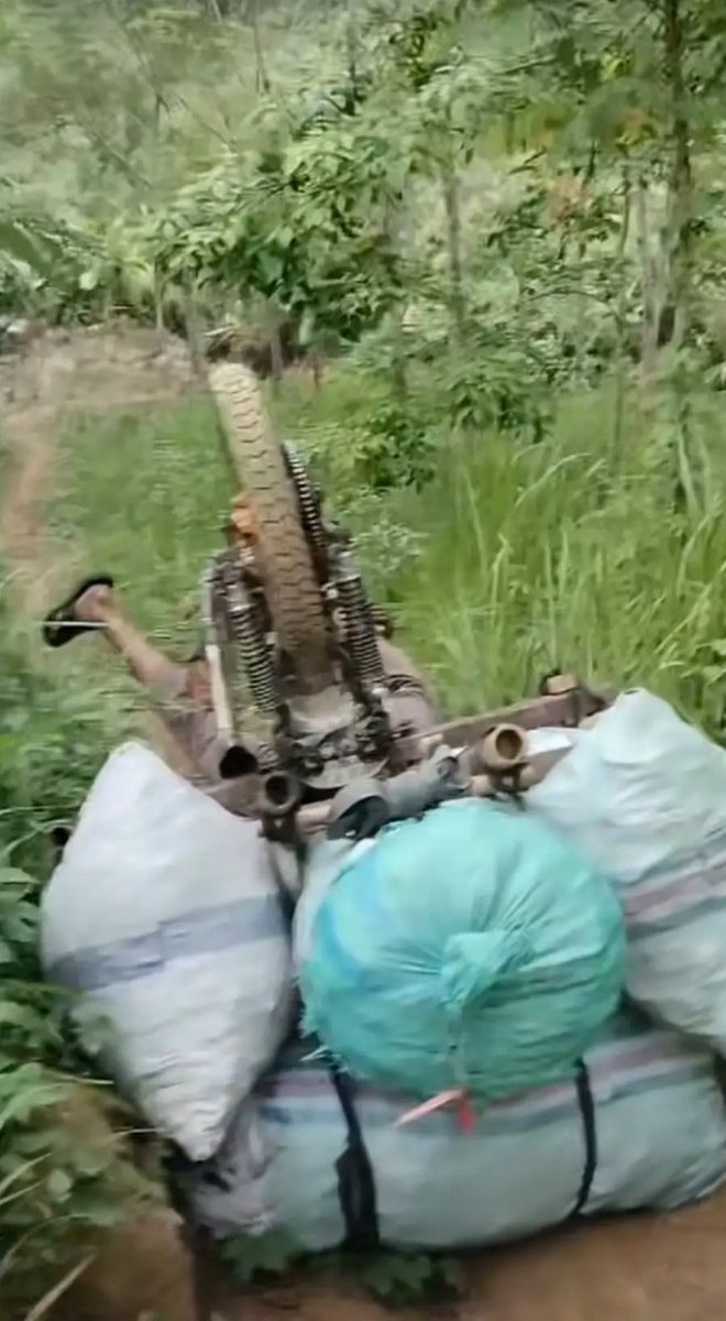 haritstoteles_'s tweet image. Jgn bawa bawa orang #CALive