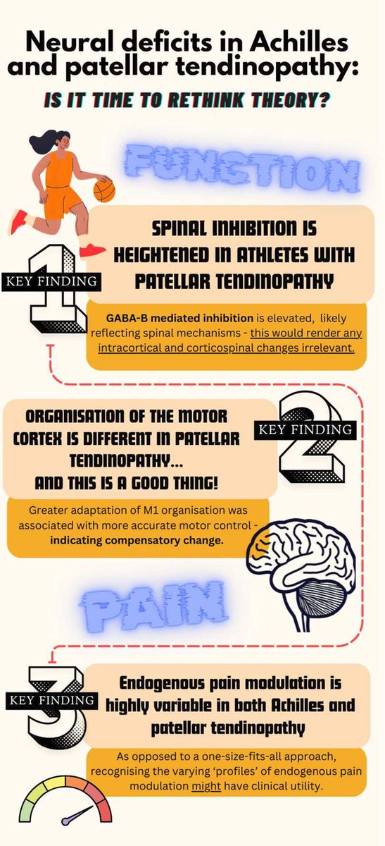 🚨 Neural deficits relevant to pain symptoms and functional impairments in individuals with Achilles or patellar tendinopathy 🧠

NEW #PhDAcademyAward with supporting infographic that proposes updates to existing theory 🤔

Full article ➡️ bit.ly/448MXTQ