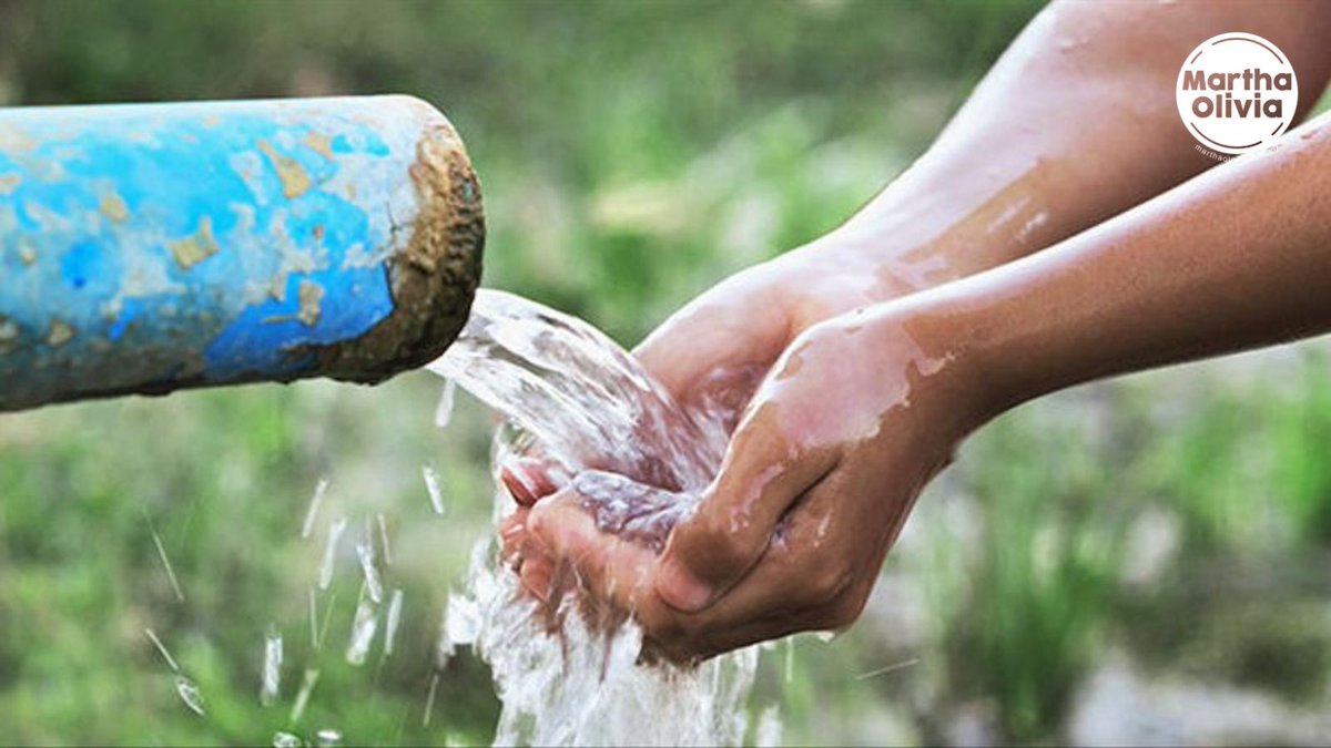 🟠Hoy hablaremos con Elena Burns, Gustavo López Bertotti (<a href="/aquamanglb/">Aquaman</a>) y Oscar Arredondo sobre la nueva Ley de Aguas. Lo que todos necesitamos saber sobre el futuro del agua en México 💧.

⏰7:00 am en #MarthaOliviaALas7 
📲youtube.com/@marthaoliviam…