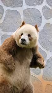 🎀apple🎀 tweet media