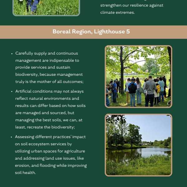 InBestSoil tweet media