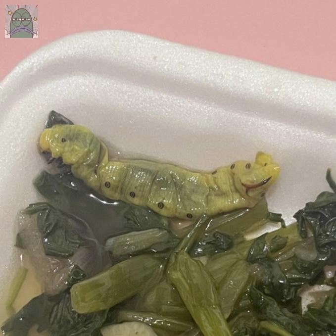 Tanyarlfes tweet media