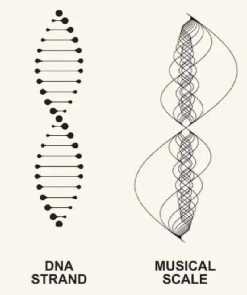 Plato was right.

“Our entire biological system, the brain, the earth itself, work on the same frequencies.”

- Nikola Tesla