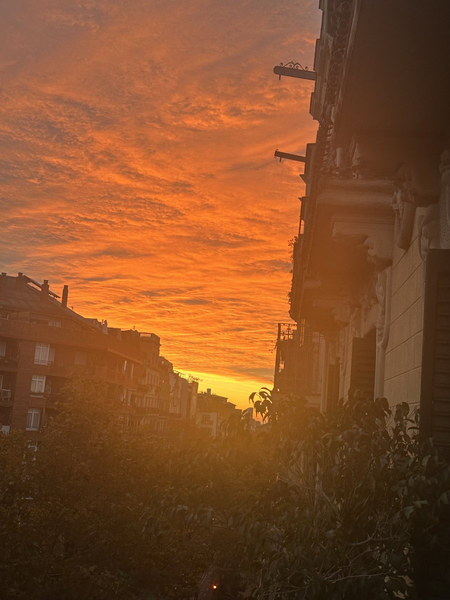 RcdeMario's tweet image. A pesar del fracaso de ayer, siempre sale el sol al día siguiente.