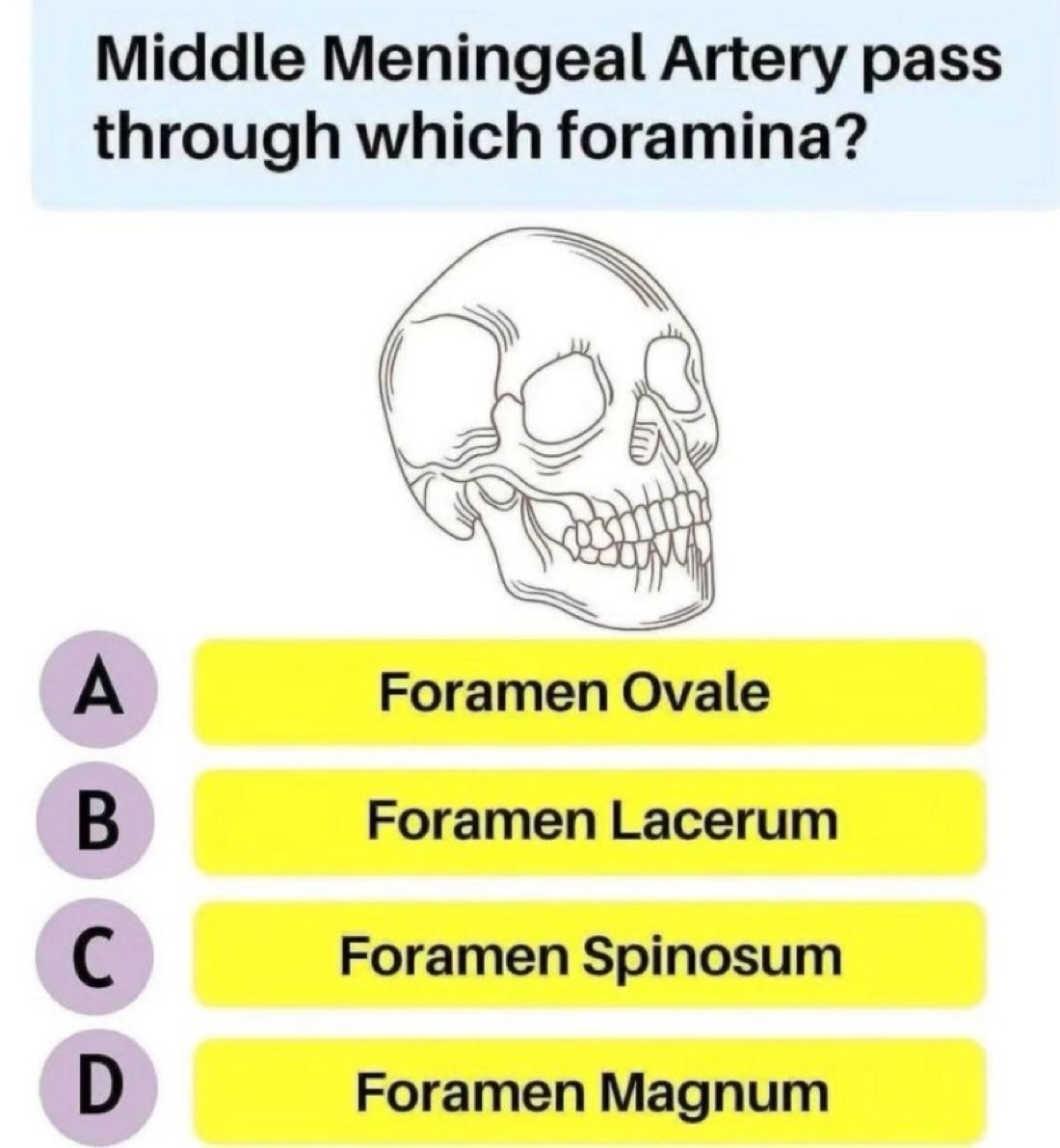 Middle Meningeal Artery pass through which foramina?