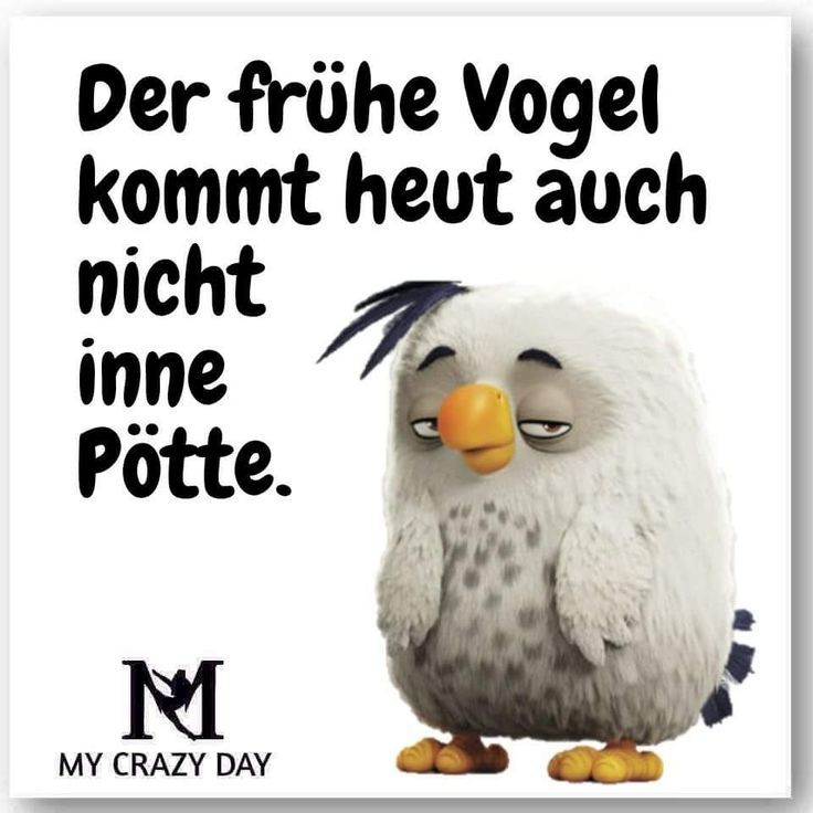 Guten Morgen meine lieben Twittermäuse