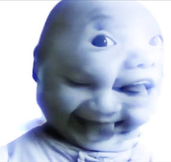 Iggy the mother of CT loves the niche $baby 

Green dildos will fly and we will keep posting…. baby