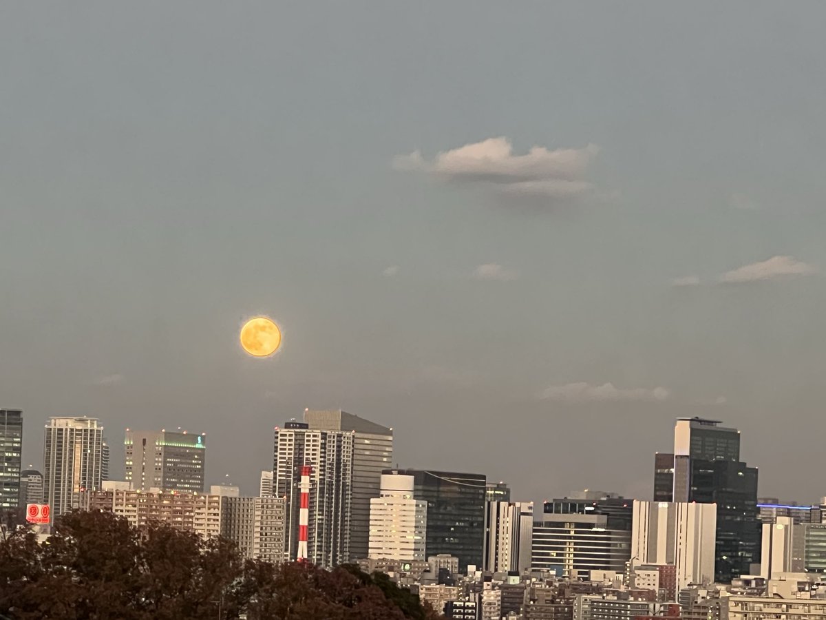 a_papadon's tweet photo. 今日は満月🌕 コールドムーン とても大きなお月様が見えています!!

 #満月 #コールドムーン #大きい #オレンジ色 https://t.co/Df1keYprdE