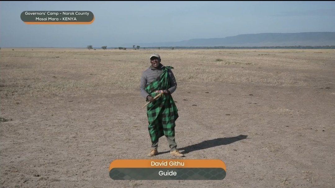 Dark Mane Lover tweet media