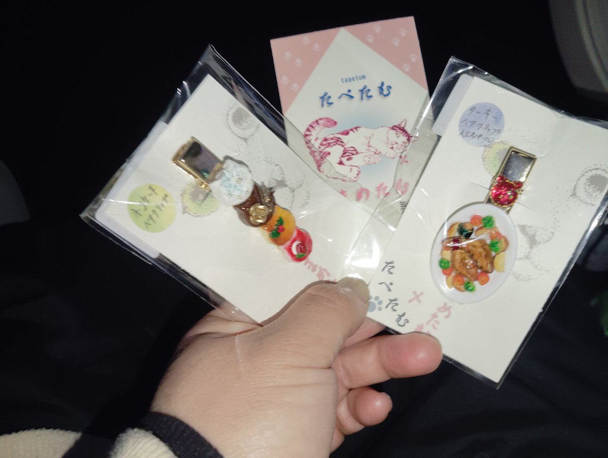 悩みに悩んでこちらを購入 ﾈｺﾞﾁﾞｬﾝきゃわいい