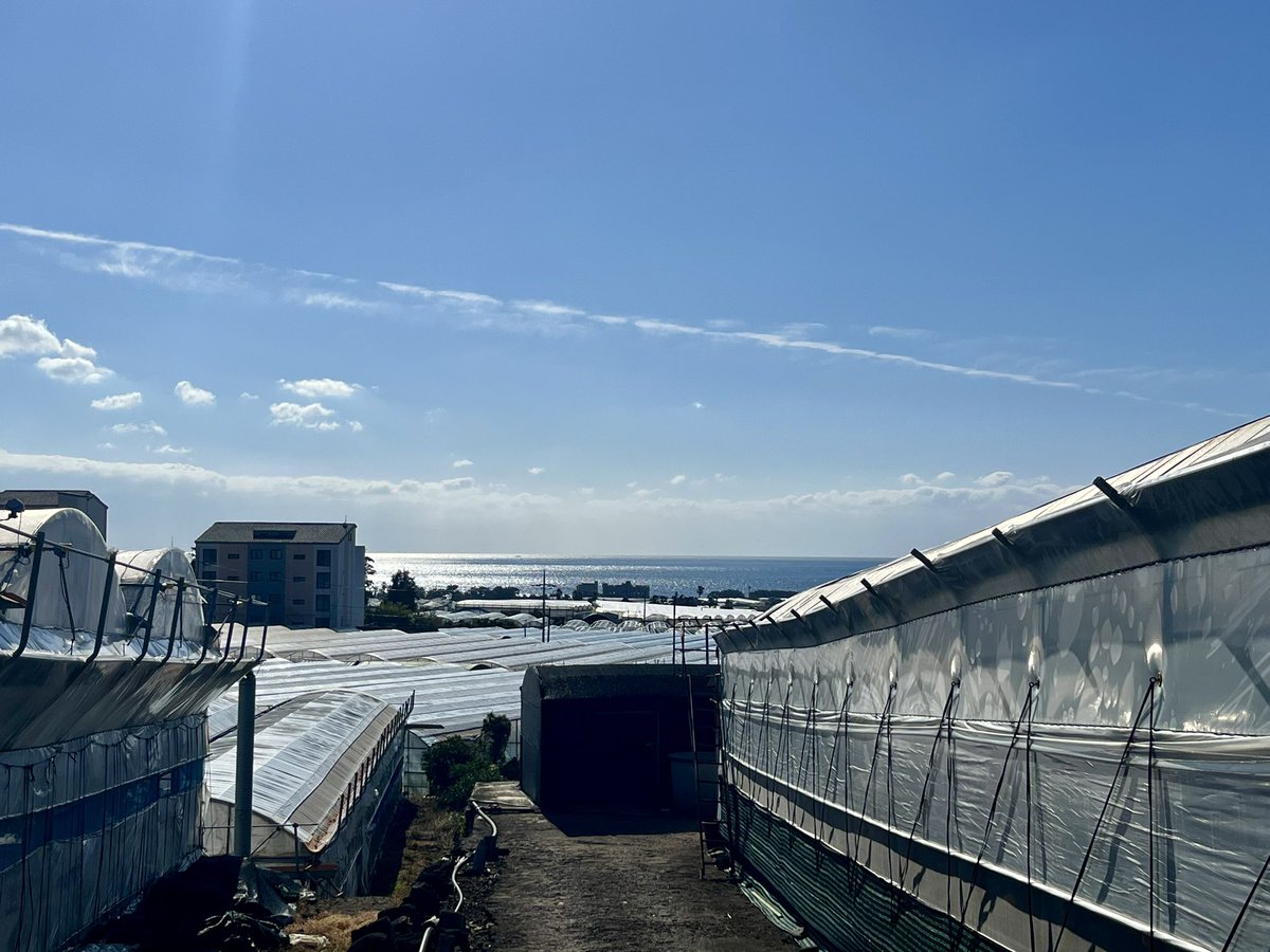 추운데 따뜻한 서귀포