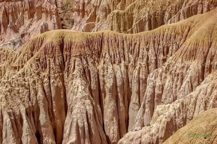 Kenya's North Coast Checklist Complete: Mombasa, Malindi, Kilifi, Watamu, and the timeless charm of Lamu. Soaking up the history, the seafood, and the unparalleled Indian Ocean views.
Loan Garbage Foreign Uzalendo CAT 1