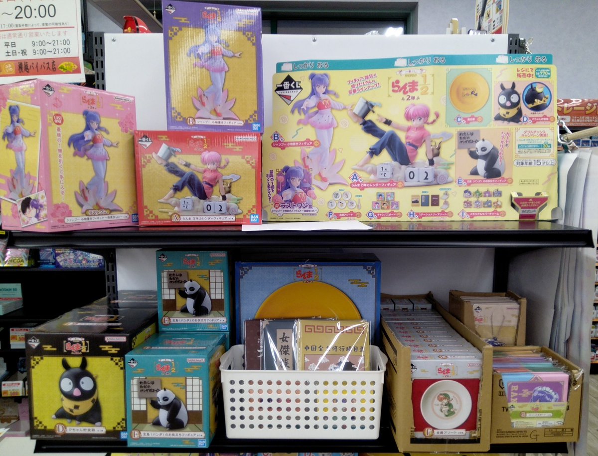 ぷっくりランプ 姥目樫 姥目樫 ぷっくりランプ ウバメガシ（姥目樫