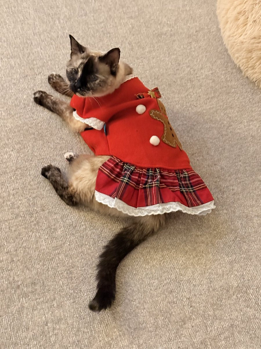 JP_1040's tweet photo. 😸Too cute https://t.co/UvBdBVPFyD