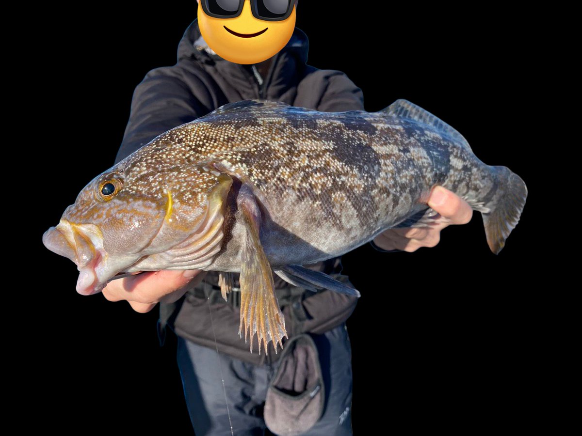 🎣ようすけ🎣 (@kyby37) / Posts / X