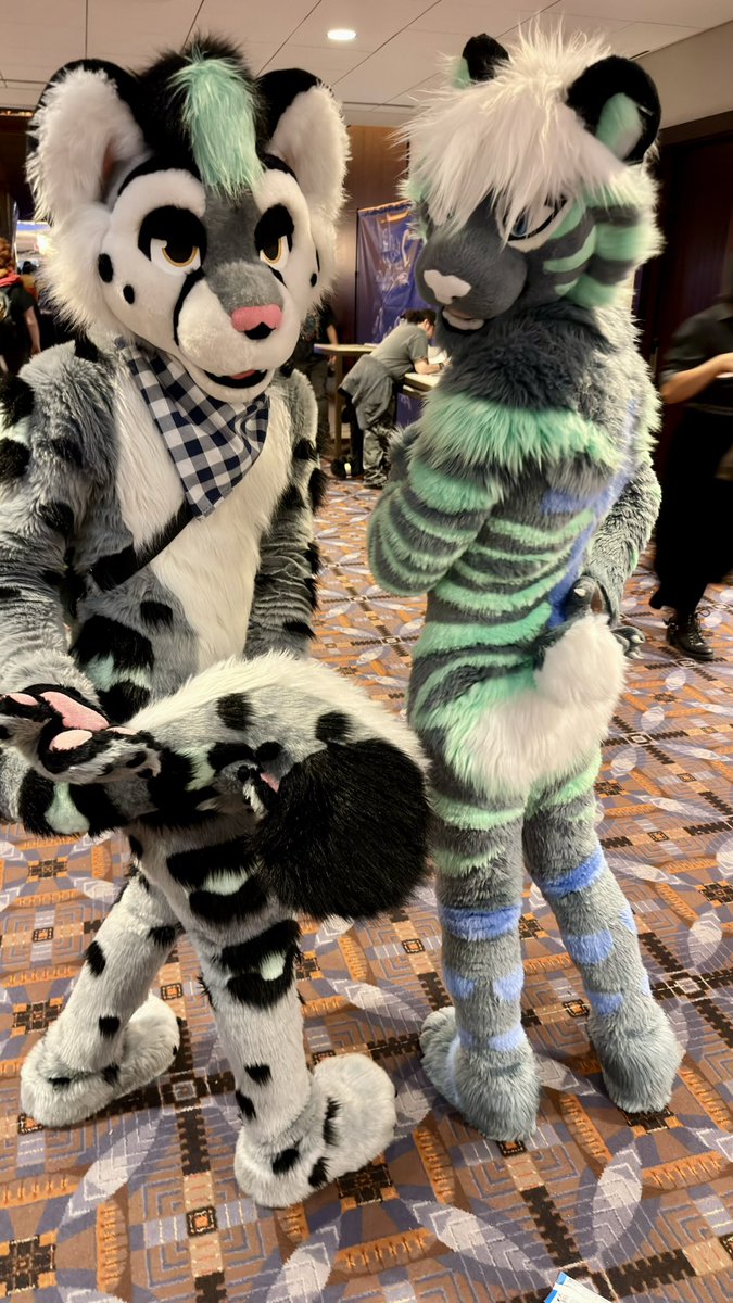 MintySnep's tweet image. My Schwartz is bigger than your Schwartz!
 
🐈: @AFFLUENTMINT 
📸: @Puppy_Niko