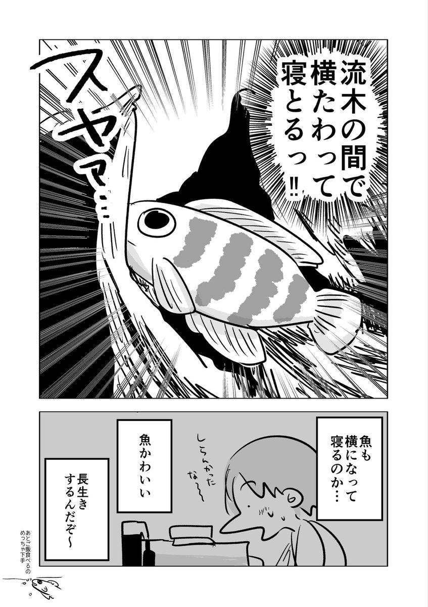 アクアリウムをはじめまして…🐟
