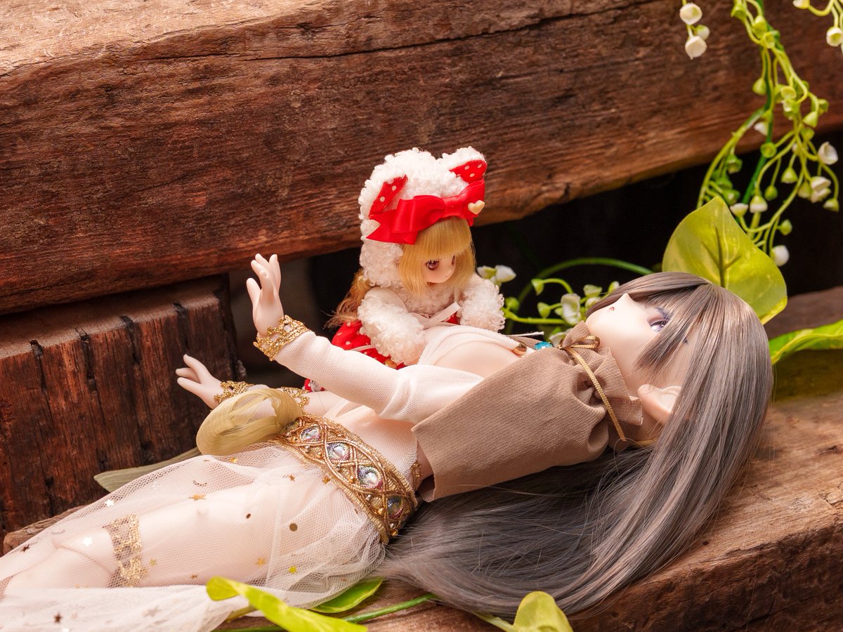 ԅ(¯﹃¯ԅ)ﾓｼﾓﾐ〜大丈夫ですか〜🍪

#じぇい式撮影会
#よそのこかわいい