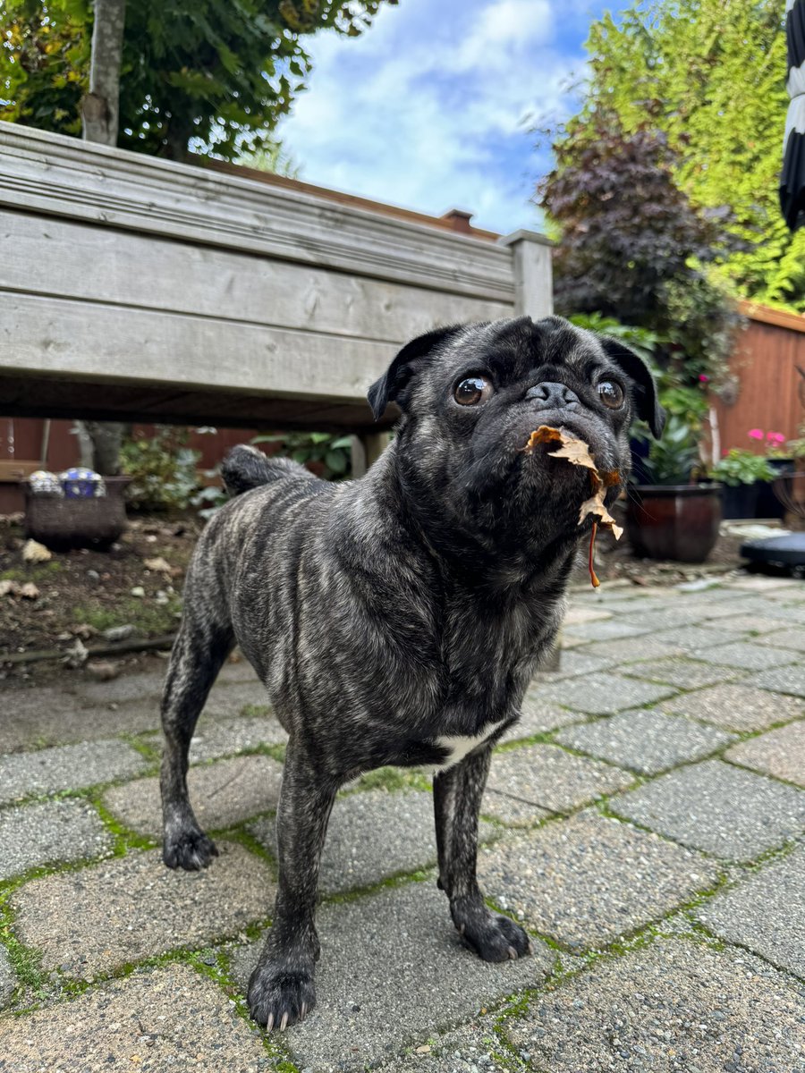 Ashley Anderson tweet media