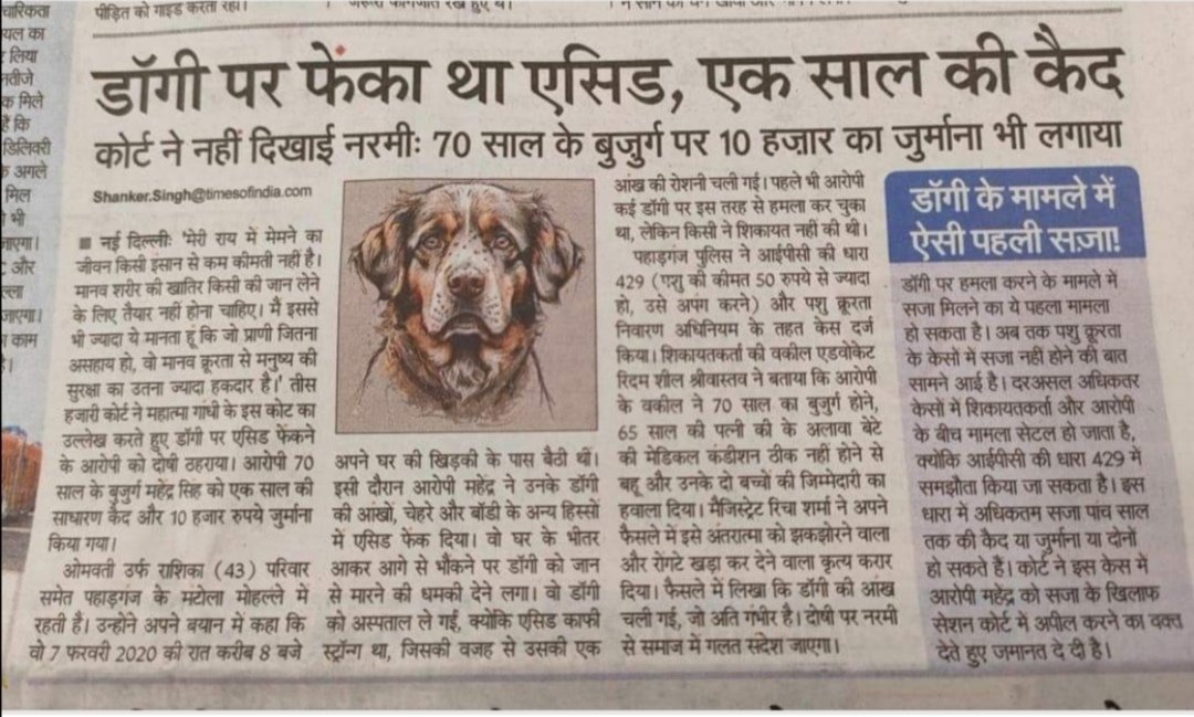 APMAT15's tweet photo. Dog Cruelty Case no. 4
????
#StopDogCruelty #SaveIndianDogs #NoDogsNoVote #AwaraNahiHumaraHai
#Dogs #DogRape https://t.co/8GDdtsFTCp